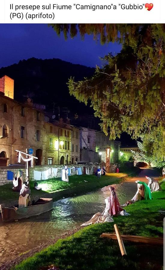 Agriturismo Tognoloni Γκούμπιο Εξωτερικό φωτογραφία