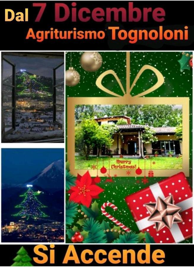 Agriturismo Tognoloni Γκούμπιο Εξωτερικό φωτογραφία